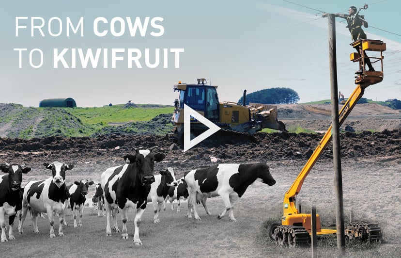 Blog_From_Cows_To_Kiwifruit copy