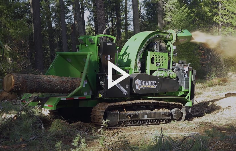 Blog_Video_A&E_Arborists_Tree_Care